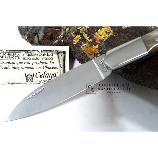 Celaya Cabritera Bullhorn Knife Stainless Steel Ferrule 2301-VI/T Celaya Cabritera Bullhorn Knife Stainless Steel Ferrule 2301-VI/T