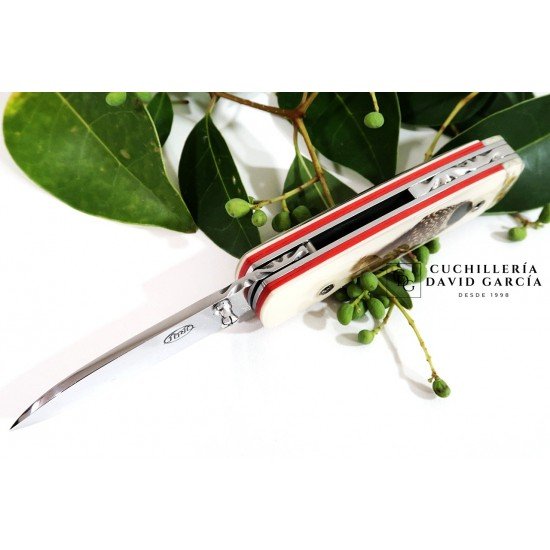 Citadel Stavanger pocket knife “Pluma Penacho and Mammouth”