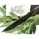 Wander Tactital Uro Tactical Stone Edge Micarta Negra Wander Tactital Uro Tactical Stone Edge Micarta Negra
