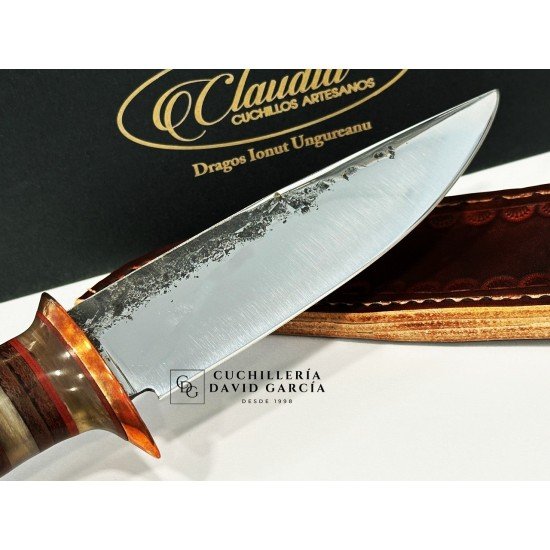 Dragos Lonut Cuchillo  Scagel  
