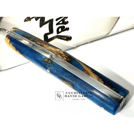 Pallarès Busa Blue Sea Acero Carbono