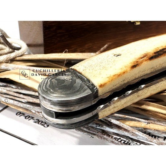 Justino Pavia Trapper Mediano Acero Damasco /Asta de Ciervo