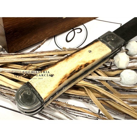 Justino Pavia Trapper Mediano Acero Damasco /Asta de Ciervo