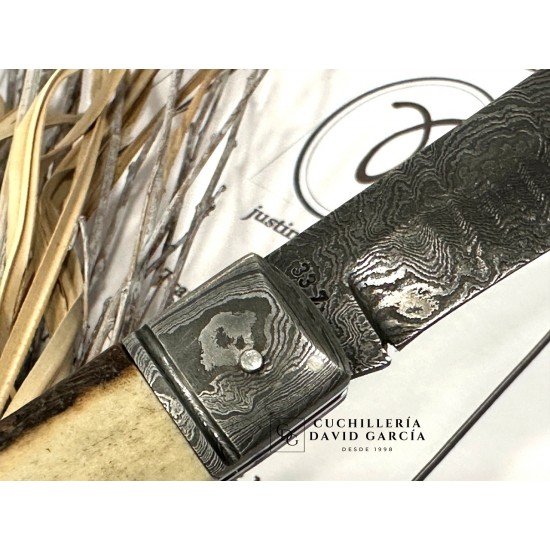 Justino Pavia Trapper Mediano Acero Damasco /Asta de Ciervo