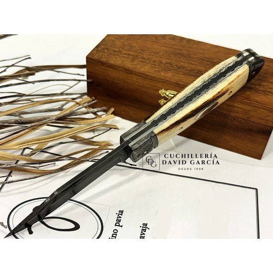 Justino Pavia Trapper Mediano Acero Damasco /Asta de Ciervo