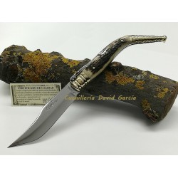 Celaya 2402-C Bandolera Artesanal Asta Ciervo / Carraca  