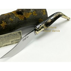 Celaya 2402-C Bandolera Artesanal Asta Ciervo / Carraca  