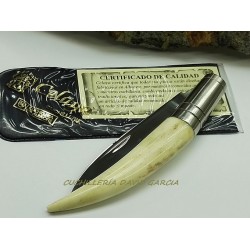 Celaya 2011G Navaja Colmillo Ciervo pulido 