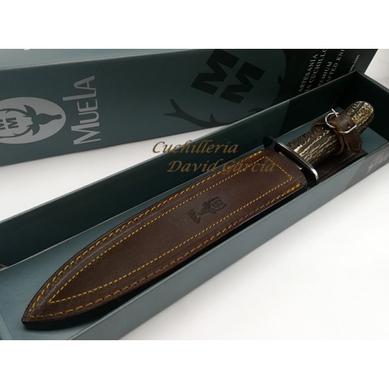 CUCHILLO MUELA INOX. CORT-24A.I > Espadas y mas