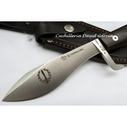 Nieto C.O.E de FNT Guerrillero 