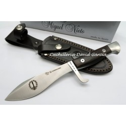 Nieto C.O.E de FNT Guerrillero 