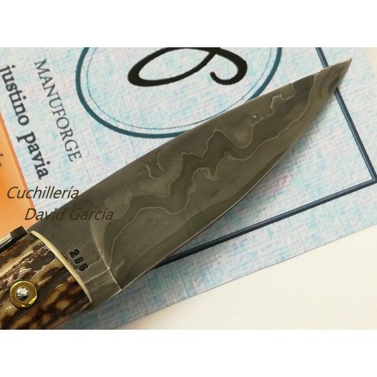 Justino Pavía Antler II Justino Pavía Antler II