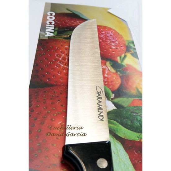 Cuchillo Cocina Taramundi 18 cm Acrílico Negro