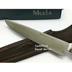 Muela Gaucho 20-A Asta Ciervo