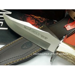 Muela Gredos-17 Asta de Ciervo Muela Gredos-17 Asta de Ciervo