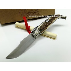 Expósito CA/102CV Albacete Asta Toro Expósito CA/102CV Albacete Asta Toro