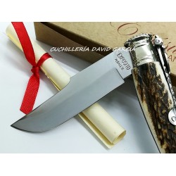 Expósito CA/102CV Albacete Asta Toro Expósito CA/102CV Albacete Asta Toro