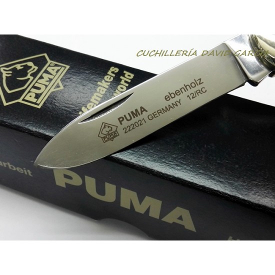 Puma 222021 Madera de Ebano Puma 222021 Madera de Ebano