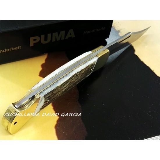 Puma Prince 210910 Asta de Ciervo Puma Prince 210910 Asta de Ciervo