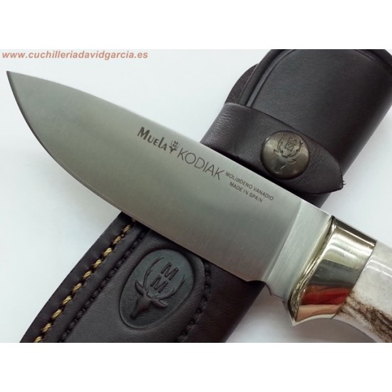 Muela Kodiak - 10 A.Ciervo Muela Kodiak - 10 A.Ciervo