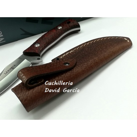 Muela Lakhota - 12R Madera Prensada Coral Muela Lakhota - 12R Madera Prensada Coral
