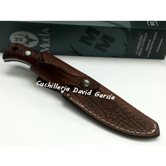 Muela Lakhota - 12R Madera Prensada Coral Muela Lakhota - 12R Madera Prensada Coral